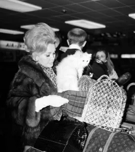 Hungarian Prints: Actress Zsa Zsa Gabor at London Heathrow Airport to fly back to Los Angeles Friday 10th