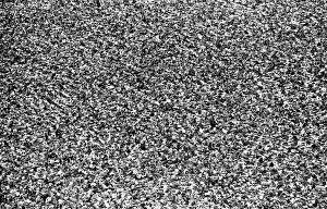 Aerial View of crowds of fans at The Isle of Wight Pop Festival 30th August 1969
