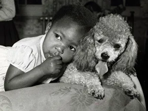Poodle Prints: African American child with puppy leaning on dog sucking thumb 1950 s