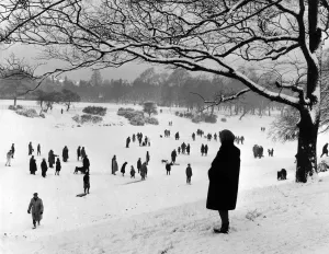 An afternoon walk on the park lake. The overnight fall of snow ruined skating chances