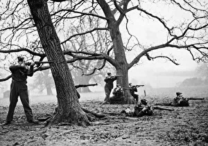 Target Prints: Age old trees provide natural cover for marksmen taking part in field exercises at a