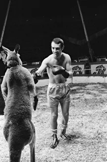 Alan Minter (born 17 August 1951) is a British former professional boxer who competed
