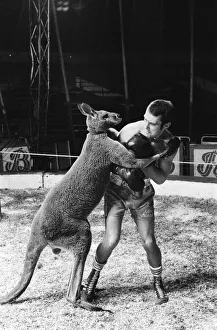 Alan Minter (born 17 August 1951) is a British former professional boxer who competed