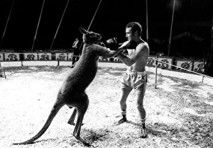 Alan Minter vs The Hopping Aussie Boxing Alan Minter Britain