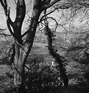 Forest Prints: Aldbury Village in Hertfordshire seen through the trees weather seasons winter Outdoors
