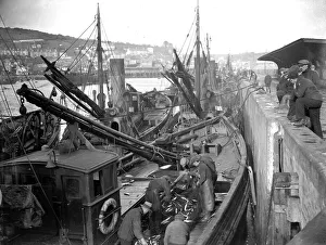 Alfieri. Mackerel fishing at Newlyn, Cornwall. View of Mackerel on deck of Lowestoft