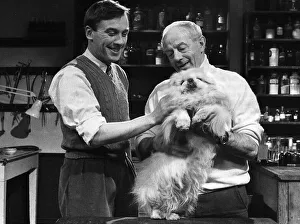 All Creatures Great and Small TV programme February 1980