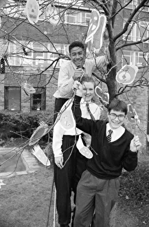 Almondbury High School pupils dress almond tree as part of GCSE art for National Tree