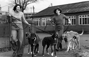 Track Prints: Amanda Davies and Denise Muiraney exercise some greyhounds at Cleveland Park Stadium in