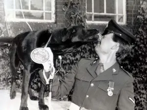 Ambrose a sniffer dog with the Arms and Explosives search unit in Londonderry