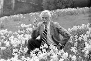 Daffodils Prints: American actor Lee Marvin smelling the spring flowers during a visit to England