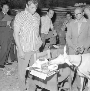 Birthdays Prints: American film actor Robert Mitchum looks unimpressed as a goat eats his birthday cake