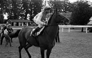 American jockey Steve Cauthen riding Ferryman at Kempton Park, July 1987