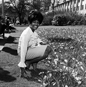 00689 Prints: American singer Dionne Warwick enjoying the sunshine in the Embankment Gardens