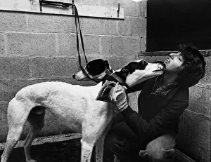 Angela Duncan receives a friendly lick as she grooms one of the greyhounds at Cleveland