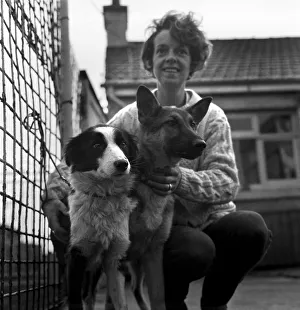 Animals: Abandoned Dogs. Owners put Dogs in Kennels and Leave Town. Mrs. D