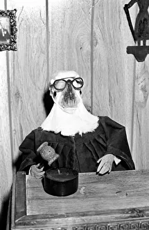Animals: Birds: Humour: Parrots in fancy dress in humorous poses