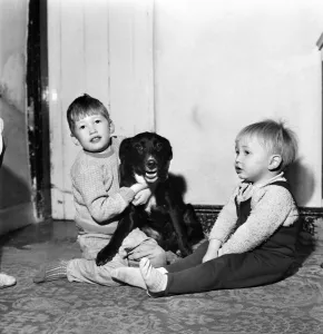 Animals with children - Dogs: Feeding time for Teeny