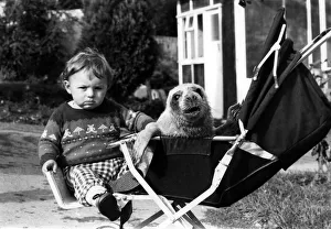 Relationship Prints: Animals Children with seal. Baby Jason and little Hecate the seal sharing a pushchair