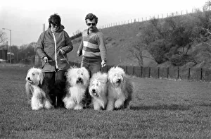 Animals. Dogs: Duke'the Dulux dog has 3 understudies they are Tania