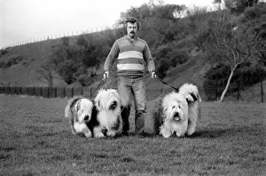 Animals. Dogs: Duke'the Dulux dog has 3 understudies they are Tania