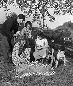 Grave Prints: Animals Dogs Friendships Prince Grave May 1953 Children lay flowers on the grave