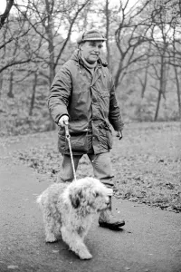 Animals Dogs: Hes scruffy looking... but lovable. He cost a few shillings when he
