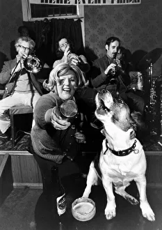 Animals Dogs Jack Russell February 1978 Judy the 8 year old Jack Russell owned by