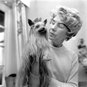 Animals: Dogs. Mrs. Olive Wood with her champion Yorkshire Terrier Tolcarne Brandy Soda