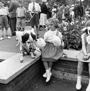 Animals: Dogs: Owners and contestants seen here talking part in The Daily Mirror Dog Show