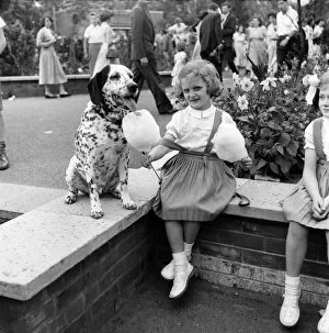 Animals: Dogs: Owners and contestants seen here talking part in The Daily Mirror Dog Show