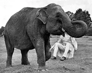 Animals: Elephants. After being in the army for five years Sgt Ivor Rosaire starts again