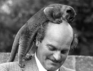 Animals Kinkajou Pedro the Kinkajou is on top of the world enjoying a little global