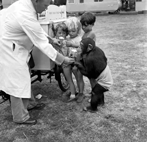 00039 Prints: Animals: Monkey: Humour. Chimpanzee queues with children to get Ice-Cream