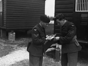 Messenger Prints: Animals at War Birds Pigeon. A messenger pigeon sits in the hand of an soldier as another