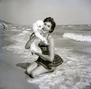 Poodle Prints: Anita Harris with poodle dog Daki on Bournemouth beach Animals Dogs