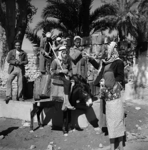 Middle East Prints: An arab woman talks to a group of young men in the trans - Jordan town of Aqaba