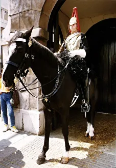 Regiment Prints: Army Regiments Blues and Royals Horse Guards in Whitehall for the Changing of the Guard