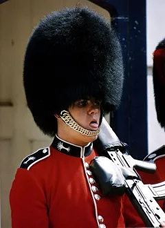 Sentry Prints: Army Regiments Welsh Guardsman sweltering from the heat while on duty outside Clarence