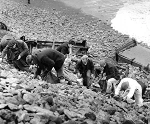 An army of sea coal men on the tip at Cambois, Northumberland during a fuel shortage in