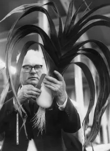 Arthur Wilson, judge in the First North Eastern open championship for leeks