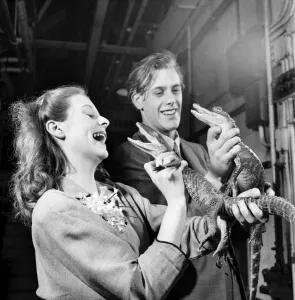 00023 Prints: Artist couple Richard and Pat Larter holding baby crocodiles during a visit to the Zoo
