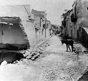Donkey Prints: An ass in the street in Sicily, Italy, following Operation Husky. August 1943