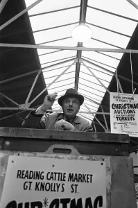 Sales Prints: Auctioneer taking bids during Christmas Turkey Auction at Reading Cattle Market in Great