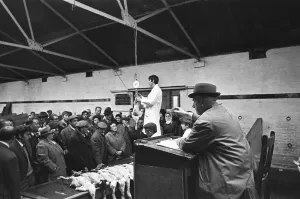 00885 Prints: Auctioneer taking bids during Christmas Turkey Auction at Reading Cattle Market in Great