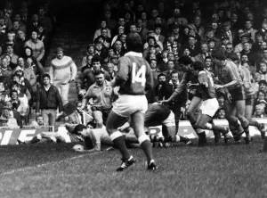 00743 Prints: Australia 28-9 Wales, Australian 1984 rugby union tour of Britain and Ireland, Match 12