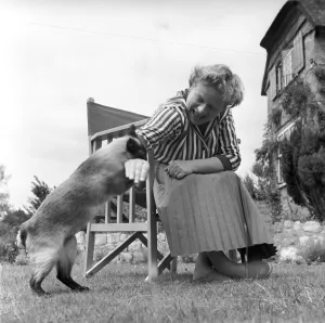 Authoress Janet Green seen here with her cat. 1960