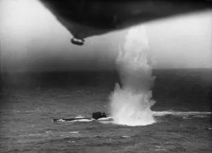 01446 Prints: Avenger, Wildcat and Swordfish aircraft from two British escort carriers