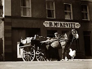 Chicken Prints: B. McKevitt General Store Ireland - Horse and Cart outside the store chicken