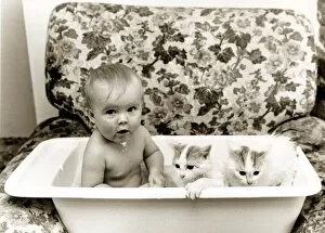 Images Dated 12th October 1978: A baby in a bath with two kittens